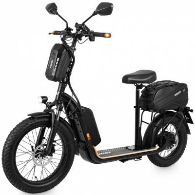 Viron XI-1500-EEC MAX Range45 km/h mit ABE
